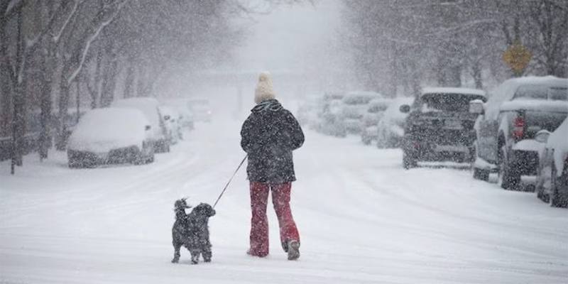 Una nuova ondata di freddo è in arrivo per fine mese