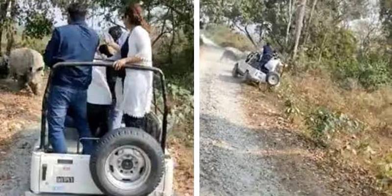 I rinoceronti attaccano e mandano fuori strada il camioncino pieno di turisti (VIDEO)