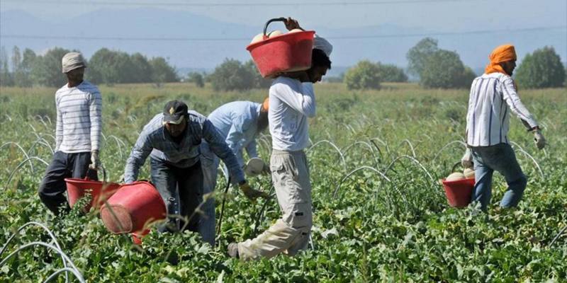 In Italia inizia il click day per l'arrivo dei lavoratori extracomunitari (82.705 ingressi) previsti dal decreto flussi 