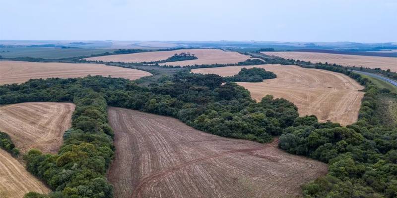 La Foresta Amazzonica ha perso 5 milioni di ettari in soli 5 anni