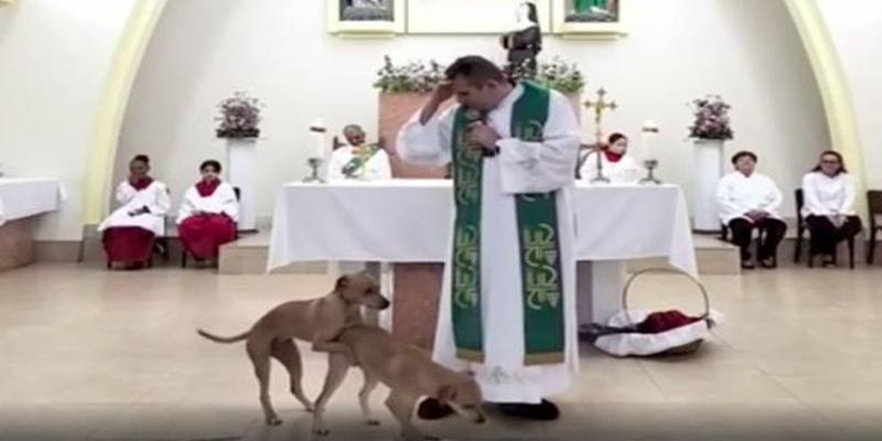 La predica del sacerdote viene interrotta da due cani (VIDEO)