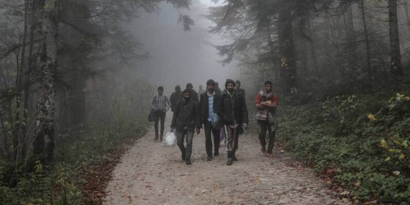 Le forze dell'ordine di Trieste e Gorizia riceveranno fotocamere da installare nei boschi tra Italia e Slovenia per pattugliare il confine attraversato dai migranti irregolari