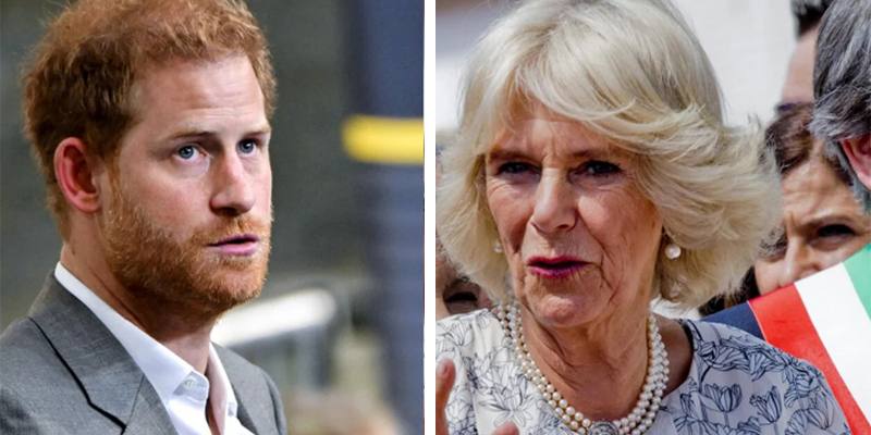 Secondo il principe Harry, Camilla ha lastricato la strada di cadaveri pur di ripulire la sua immagine di cattiva