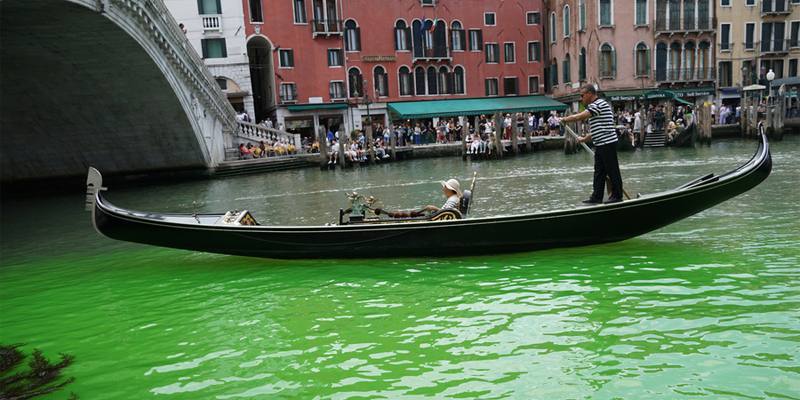 Cosa si sa dell'acqua verde fluo nel Canal Grande a Venezia