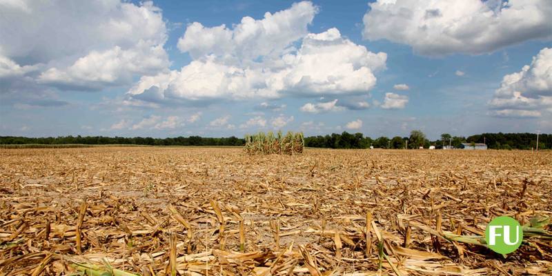 L'Ue sosterrà gli agricoltori colpiti dalla siccità con 250 milioni di euro, ma l'Italia ha già perdite per oltre 6 miliardi