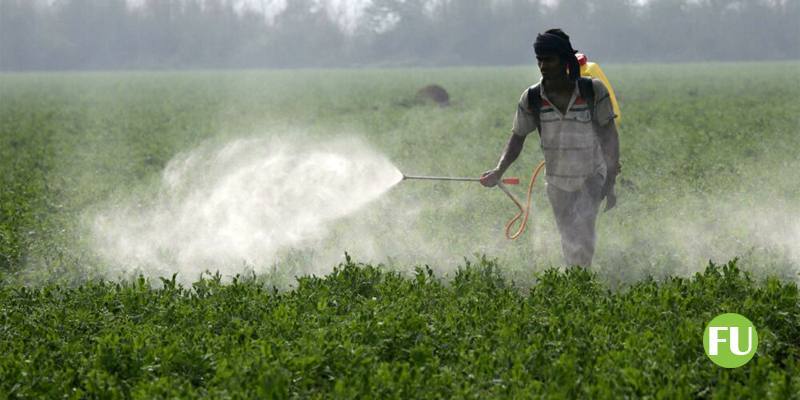 Le case di produzione di pesticidi sono accusate d’aver nascosto la tossicità dei loro prodotti