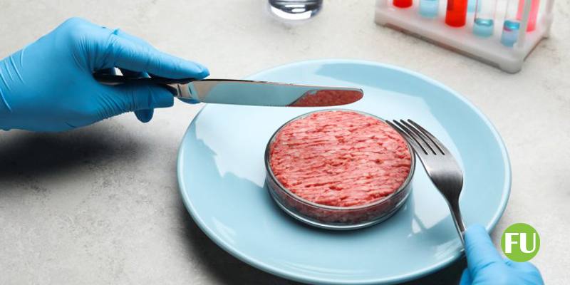 In cosa consiste il divieto di produzione e importazione di carne sintetica approvato in Senato
