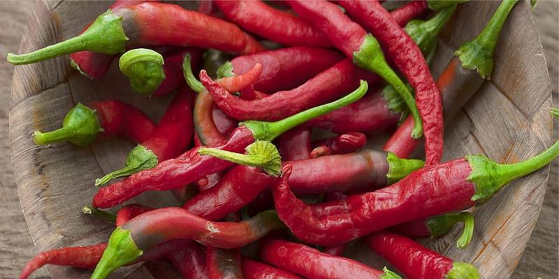 Peperoncino: specifiche e proprietà