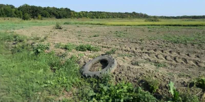 Come diventare proprietari di un terreno abbandonato