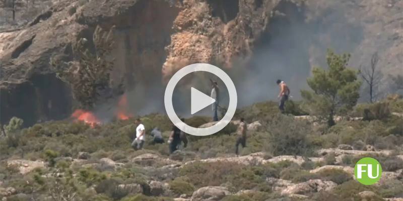 Il video decine di incendi boschivi in Grecia