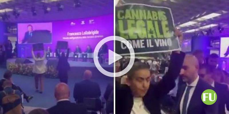 Il video dei cartelli Cannabis legale come il vino al Vinitaly 2024