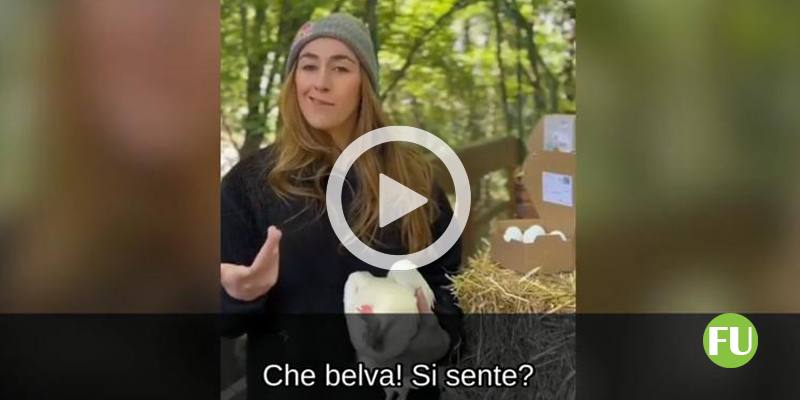 Il video di Sofia Goggia che imita Francesca Fagnani a Belve