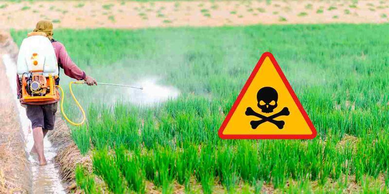 I pesticidi ci fanno ammalare anche a piccole dosi