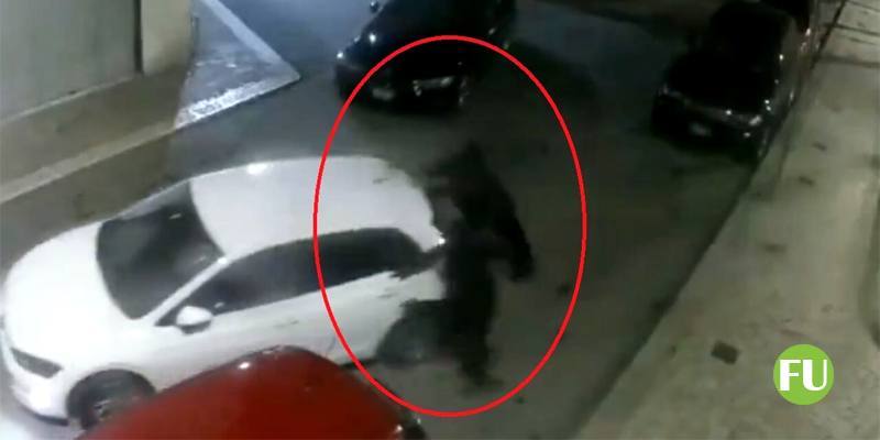 Il video della banda che rubava 4 auto a notte in Puglia