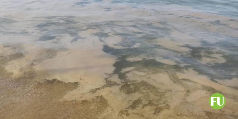 Il video della mucillagine nel Mare Adriatico